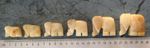 Set of 6 hand-carved honey onyx / banded calcite elephants