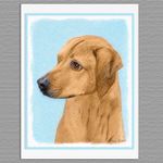 6 Rhodesian Ridgeback Dog Blank Art Note Greeting Cards