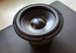 High-End 8" Subwoofer Driver | Custom-Built | Deep Bass | Low Fs | Hi-Fi DIY