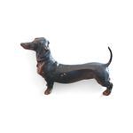 Antique Cold Painted Bronze of a Dachshund by Franz Bergman hallmarked