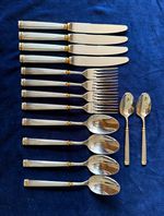 Highly sort after Guy Degrenne 14pc 18/10 Stainless Steel Cutlery SetSilver/Gold