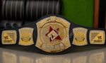 Edge Rated R Spinner Heavyweight Championship belt Replica Adult size 2mm