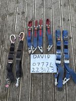 Job Lot -2 Pair Of Unwin Wheelchair Straps 4 Front Straps And 4 Rear Tightening