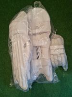 Arks Spirit : Premium 8 cane Batting Pads & Premium Batting Gloves : Men's : L