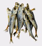 Dried Whole Premium Sprats Large 100% NATURAL Dog Puppy Fish Treats Supplement