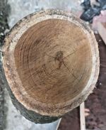 LARGE Laburnum Log For Turning, Woodworking, Wood Craft, Carpentry