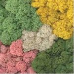 Javis Tasma Lichen Moss Foliage for Scenery, Wargaming, Model Railway