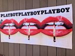 WHOLESALE LOT X 12 PLAYBOY ‘LIPS’ BEACH - HOLIDAY - SPORTS  TOWEL  - sealed