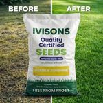 PREMIUM SHADY AREA LAWN SEED GRASS SEED SHADED UNDER TREES IVISONS SEEDS