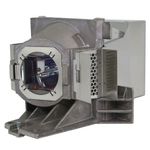 BENQ W1110 Original inside lamp - Replaces 5J.JEE05.001