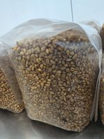 Sterilised Organic Rye Grain Bags – Spawn Ready | Simply Grow UK