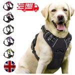 rabbitgoo No-Pull Pet Dog Harness with Handle Adjustable Reflective Padded Vest