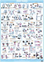 Weight Training Poster | Bodybuilding Poster | Exercise Chart | Keep Fit Poster