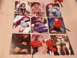 Jessie Custom Trading Cards – Complete ‘Jessie Set’ 9 Waifu Cards NSFW – New