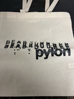 Beabadoobee pylon Limited Edition Tote Bag Listening Party Item Promo