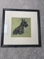 Lucy Dawson Scottish Terrier Art Print In A Beautiful Frame With Story Of Dog
