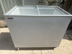 Tefcold Freezer