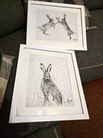 R Baxter Signed Framed Pen & Ink Hare/Rabbit Drawings Set on Paper