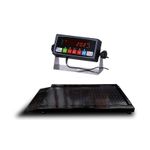 New Prime Scales Roll-On Weigh Electric Wheelchair Scale w/ PS-IN202