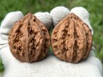 hand massage ball Mt. Chin eight ridges lantern Qiu wenwan walnut