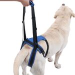 Rear Dog Support Lift Harness Rehabilitation Harness for Dog Rear Legs Assist