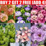 20pcs Water Lily Seeds  (Nymphaea) Lotus Pond Aquatic Plant Seeds Lotus Seeds