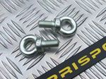 Competition Harness / Belt Eye Bolt - Track Day etc