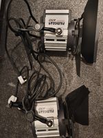 Filmgear freshnel 650watt tungsten light with barn doors (2 available)
