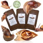 Giant African Land Snail Substrate, TRIPLE PACK, 3  Coco Coir 8-9L blocks