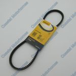 Fits Talbot Express Peugeot J5 Citroen C25 Power Steering Belt 2.5L U25 400365
