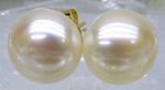 Genuine Natural White Akoya Freshwater Pearl Stud Earring 5-14mm 14K Yellow Gold