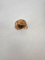 Natural Unpolished Shell Specimen Collectable - Shells/ Coral/ Starfish Type
