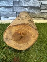 30 Year Air Dried Yew Wood Log-43