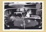 Dog Postcard (86429)