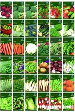 Garden Treasures Fresh Herbs Vegetable Fruit Seeds Grow Your Own Indoor Outdoor