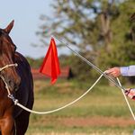 Equestrian Training Flag with Steel Clip-Portable Lightweight Horse Training Aid