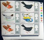 GB QEII 1966 SG 696-699 BRITISH BIRDS MNH in Rare Block of 6 Stamps