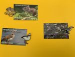 Field mouse, Fieldfare, Egyptian Goose 