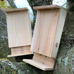 Set of 2 Wooden Bat Boxes for Roosting with Landing Perch Nesting Nest Habitats