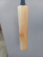 Aldred Cricket Bat Short Handle 2lb 9oz