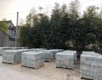 Reclaimed Handmade Grey Blue Bricks