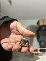 Small Pottery Hedgehog 
