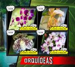 Orchids MNH Stamps 2019 Sao Tome & Principe M/S