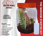 enclosure spiderling tarantula terrarium housing