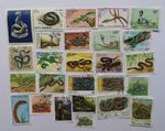 Snakes on Stamps Collection - 25 to 100 Different Stamps 