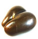 FINE LARGE, RARE & WELL-FORMED COCO De MER - SEYCHELLE ISLANDS