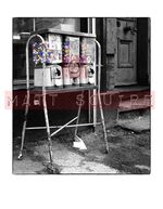 STONE ROSES A3+ ARCHIVAL PHOTOGRAPH - SALLY CINNAMON COVER PHOTO BY MATT SQUIRE