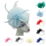 Flower Feather Hair Hat Fascinator Headband Clip Mesh Wedding Royal Ascot Formal