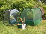 PopUp Cloche Plant Pot Cover Portable Clear Mini Garden Greenhouse Grow House x2