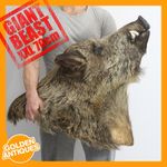 Giant XXL Wild Boar Head Plaque Hunting Trophy Taxidermy Wall Mounted Hanging